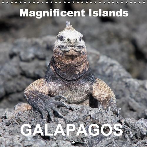 Galapagos magnificent islands 2019