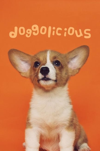 Doggolicious - Corgi Puppy Journal