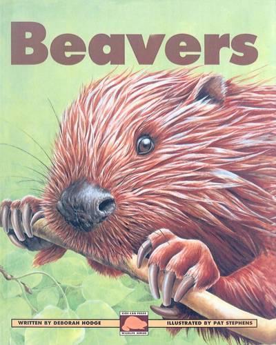 Beavers: (Kids Can Press Wildlife (Pb))