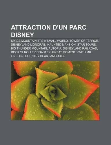 Attraction D'Un Parc Disney