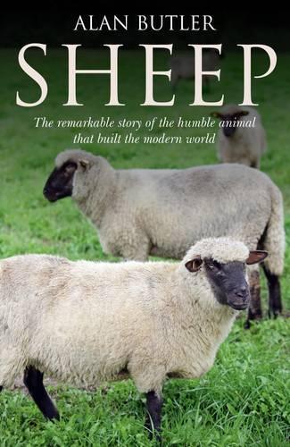 Sheep – The remarkable story of the humble animal that built the modern world.: The Remarkable Story of the Humble Animal That Built the Modern World(English)