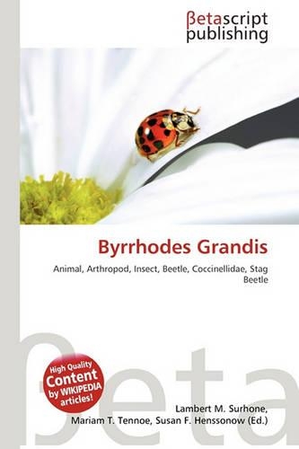 Byrrhodes Grandis