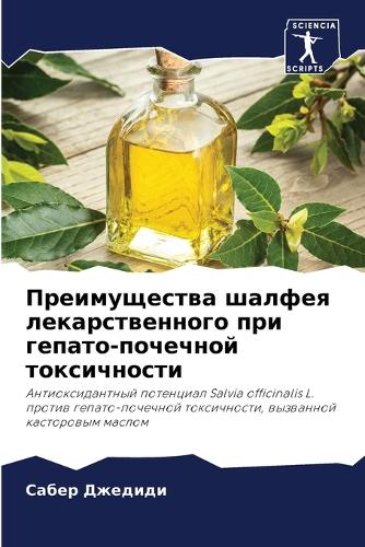 Преимущества шалфея лекарственного при г