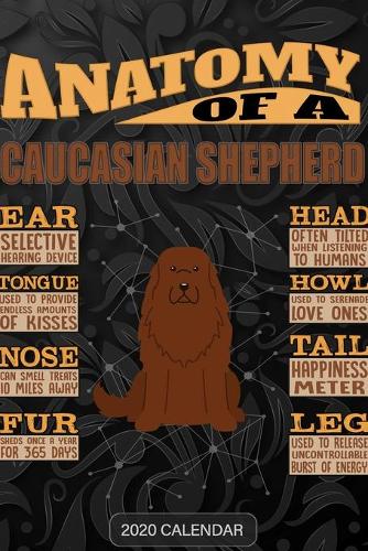 Anatomy Of A Caucasian Shepherd