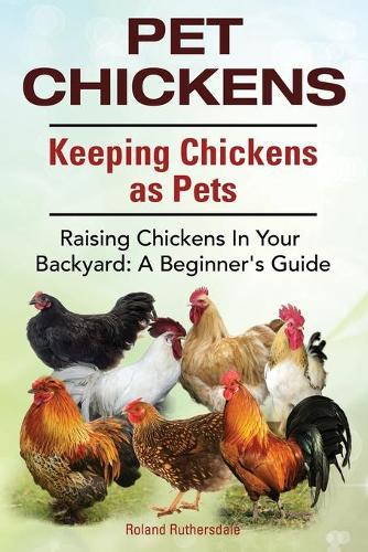 Pet Chickens. Keeping Chickens as Pets. Raising Chickens In Your Backyard