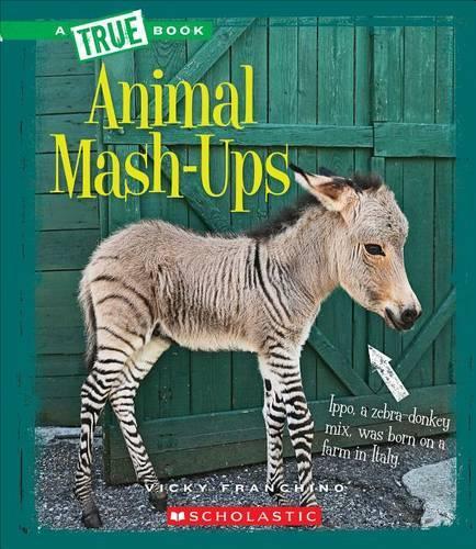 Animal MASH-Ups