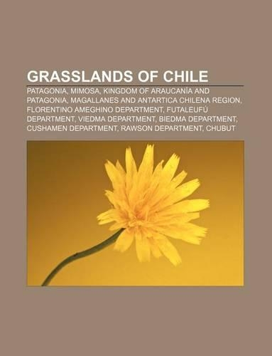 Grasslands of Chile