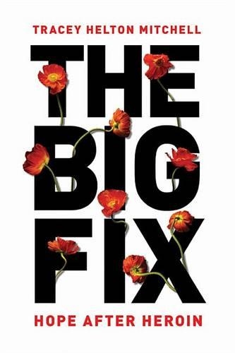 The Big Fix Lib/E: Hope After Heroin