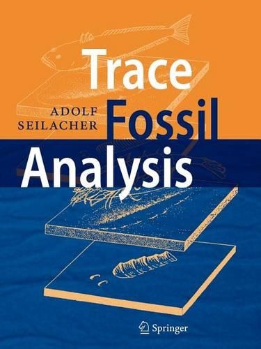 Trace Fossil Analysis