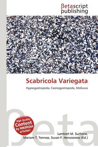 Scabricola Variegata
