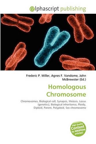 Homologous Chromosome
