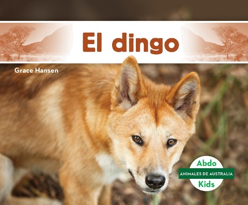 El Dingo / Dingo