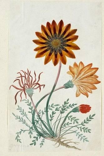 Antique Botanical Flower Art Journal