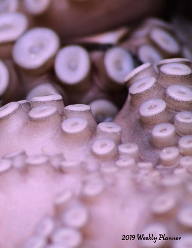 2019 Weekly Planner: Octopus Calendar with Goal-Setting Section, 8.5"x11"