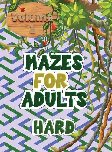 Mazes for adults