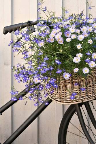 Pretty Purple Flowers in a Bicycle Basket Journal