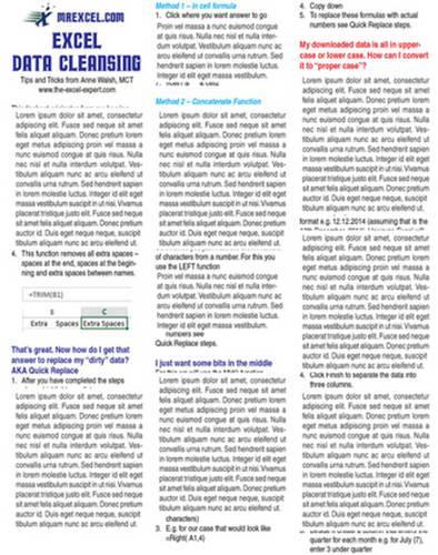 Excel Data Cleansing Tip Card: (laminated tip card)