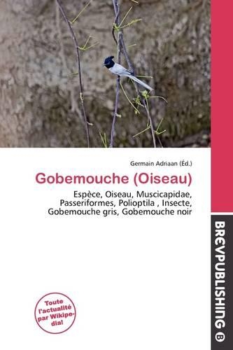Gobemouche (Oiseau)