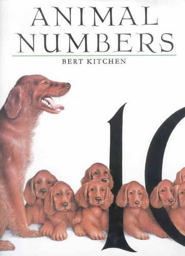Animal Numbers