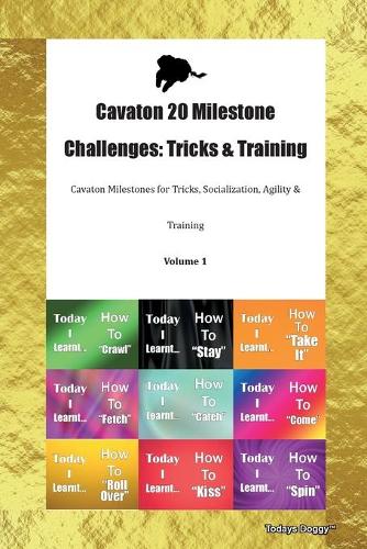 Cavaton 20 Milestone Challenges