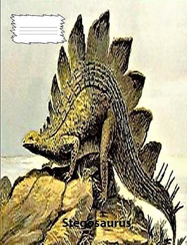 Stegosaurus Dinosaur wide rule lined paper Composition Book