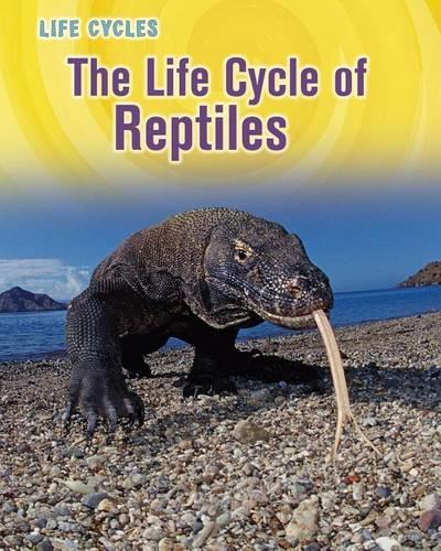 The Life Cycle of Reptiles: (Life Cycles)