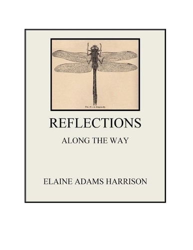 Reflections Along the Way