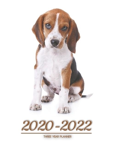 2020-2022 three year planner