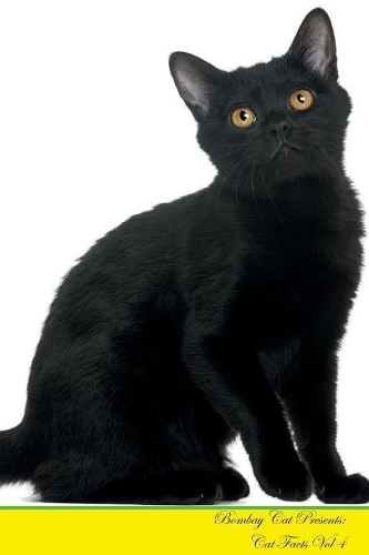 Bombay Cat Presents