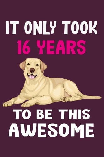 It only took 16 years to be this awesome