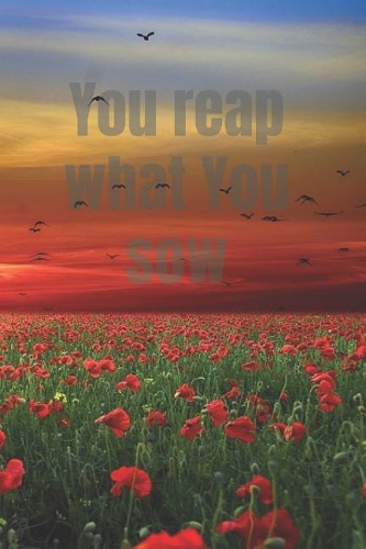 You Reap What You Sow