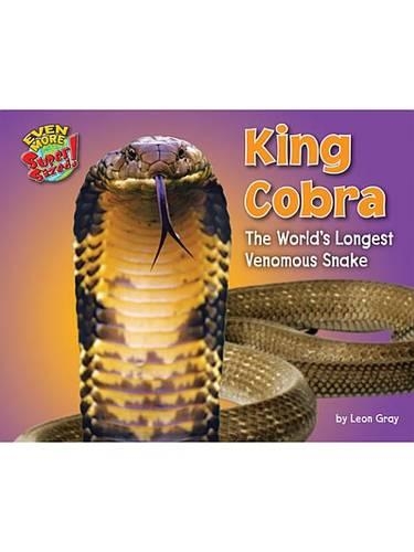 King Cobra: The World's Longest Venomous Snake(Even More Supersized!)