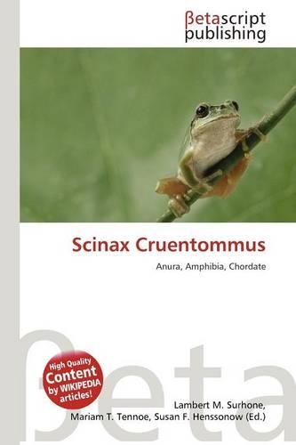 Scinax Cruentommus