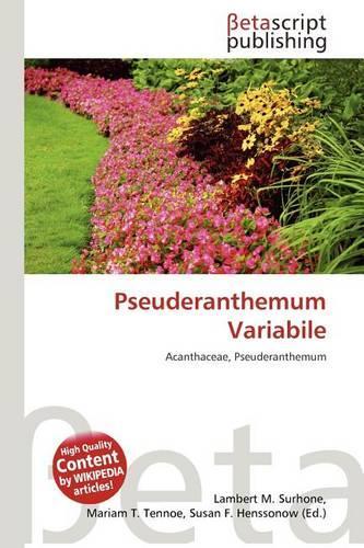 Pseuderanthemum Variabile: (English)
