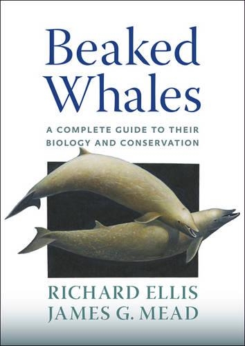 Beaked Whales