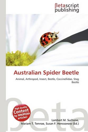 Australian Spider Beetle