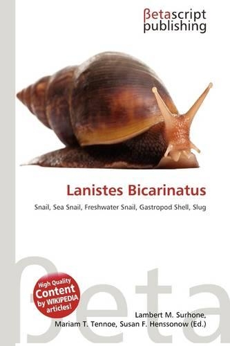 Lanistes Bicarinatus: (English)