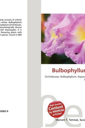 Bulbophyllum Discolor: (English)