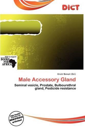 Male Accessory Gland