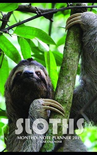 Sloths Monthly Note Planner 2019 1 Year Calendar