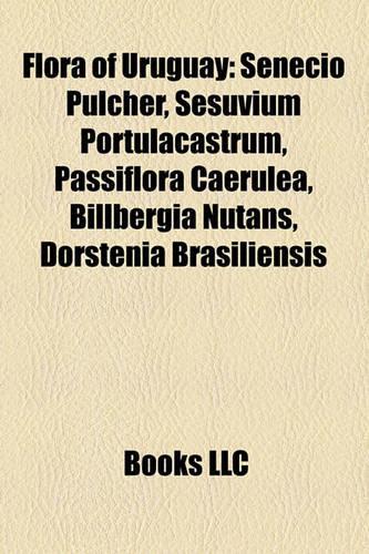 Flora of Uruguay: Senecio Pulcher, Sesuvium Portulacastrum, Passiflora Caerulea, Billbergia Nutans, Dorstenia Brasiliensis(English)