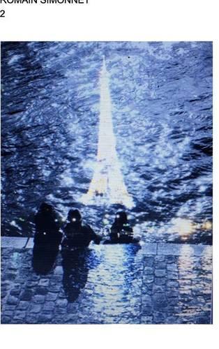 Romain Simonnet2: (French)
