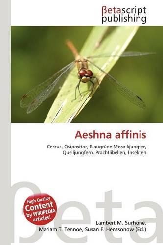 Aeshna Affinis
