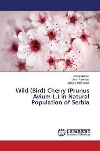 Wild (Bird) Cherry (Prunus Avium L.) in Natural Population of Serbia: (English)