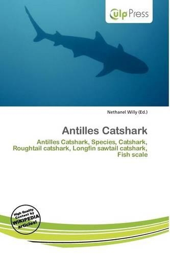 Antilles Catshark