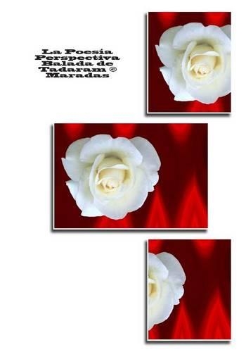 La Poesía Perspectiva Balada de Tadaram (c) Maradas: (Spanish)