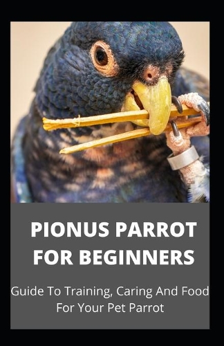 Pionus Parrot for Beginners