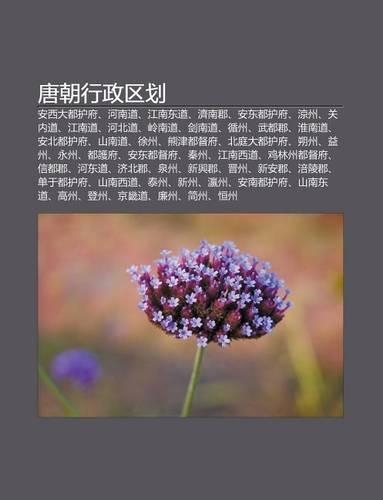 Tang Chao Xing Zheng Q Hua