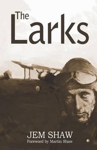 The Larks: Wars are fought by ordinary people(English)