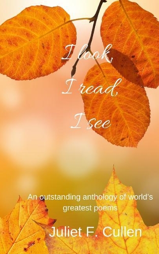 I look, I read, I see